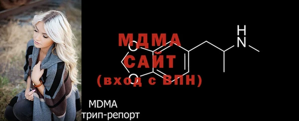 индика Богородицк