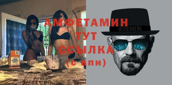молекула духа Переславль-Залесский