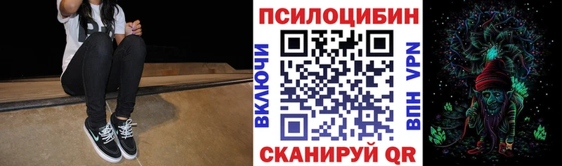 Псилоцибиновые грибы Cubensis  Шлиссельбург 
