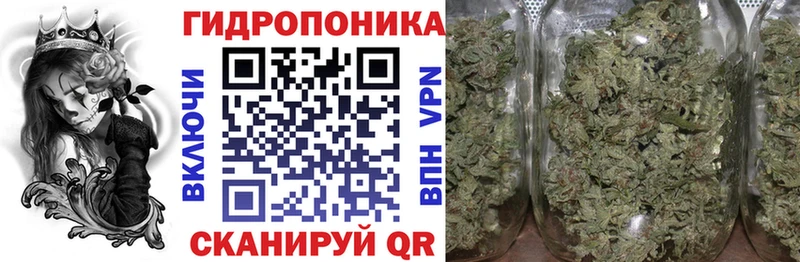 Марихуана марихуана  Шлиссельбург 